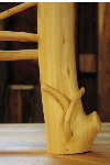 Log Leg Close Up